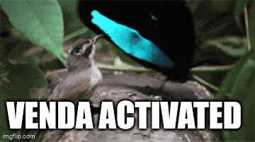 a picture of a bird with the words venda activated underneath it