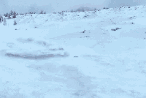 a large rock in the middle of a snow covered field