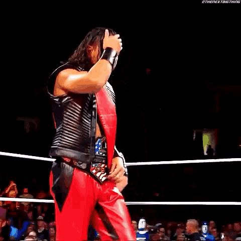 a man in a red and black outfit is standing in a wrestling ring with a referee .