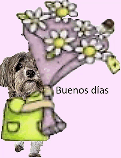 a dog in a green dress is holding a bouquet of flowers and says buenos dias on the bottom