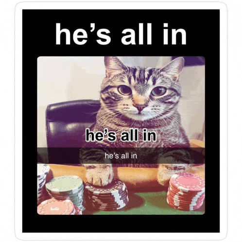 a cat is sitting at a table with poker chips and a caption that says he 's all in