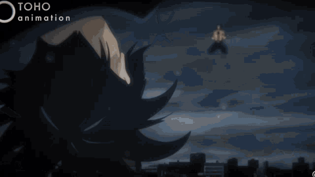 a close up of a person 's eye with toho animation written on the bottom right