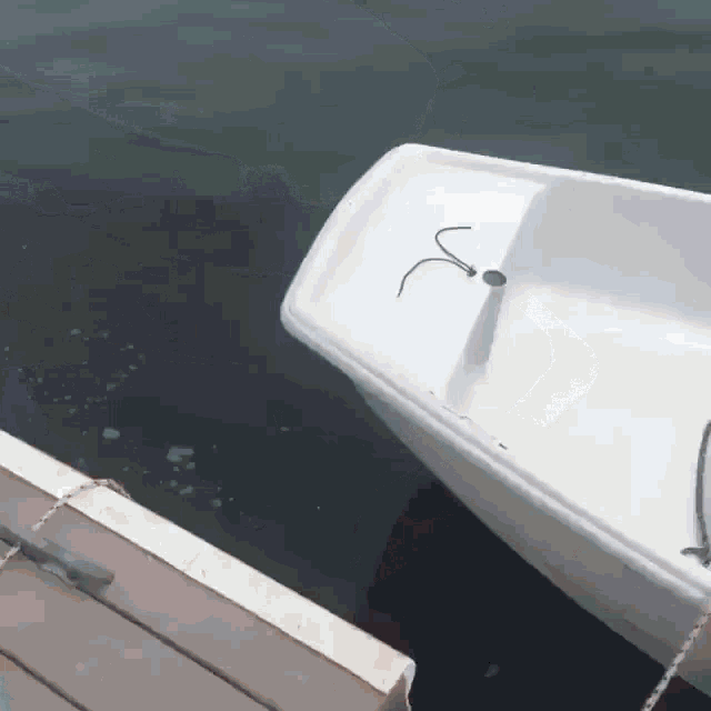 Boat Motor Legs GIF - Boat Motor Legs Paddling Legs GIFs