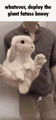 a man is holding a giant rabbit in his hands .
