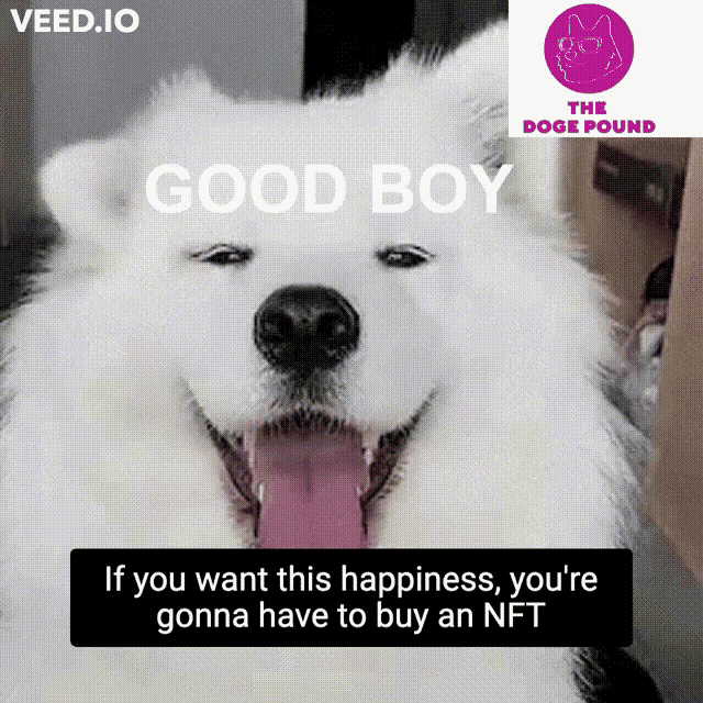 Dogepound Good Boy GIF - Dogepound Good Boy Nft GIFs