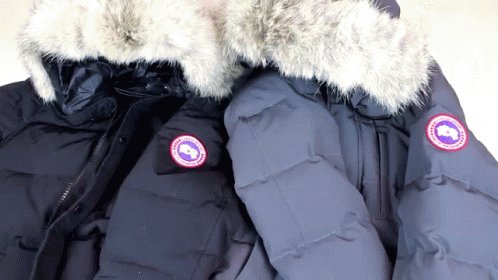 Canada Goose Parka 캐나다구스 파카 패딩 カナダグース　ジャケット GIF - Jacket Puffy Clothes GIFs