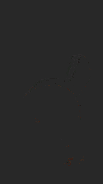 a blurred image of a woman 's face with the name ziasha on it