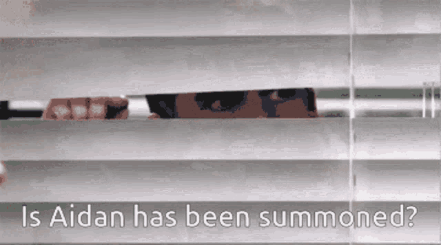 a picture of a man peeking through blinds with the caption " is aidan has been summoned "