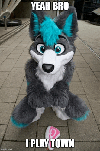a furry wolf costume says yeah bro i play town on it