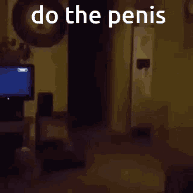 a person is standing in a dark room with the words `` do the penis '' written in white letters .