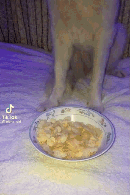 a dog standing next to a bowl of food that says tiktok on the bottom