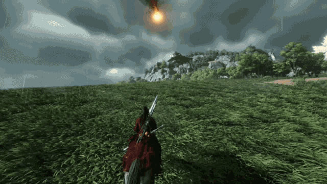 a person holding a sword in a grassy field