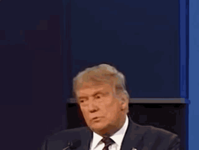 donald trump is smiling while giving a speech in front of a microphone on a stage .