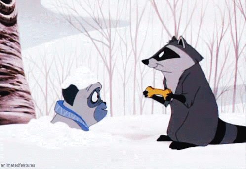 Raccoon Offering Food, Or Not - Just Kidding GIF - Just Kidding Offering Food Food GIFs