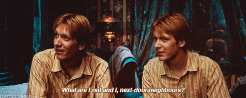 Fred And George Harry Potter GIF - Fred And George Harry Potter Next Door Neighbors GIFs