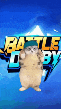 a cat wearing a blue hat is standing in front of a battle lobby sign