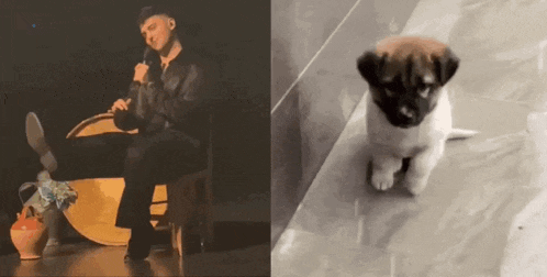 a man is playing a flute next to a puppy