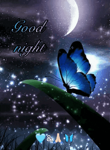a blue butterfly is sitting on a leaf with the words good night written above it