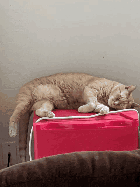 a cat laying on top of a pink box with its eyes closed
