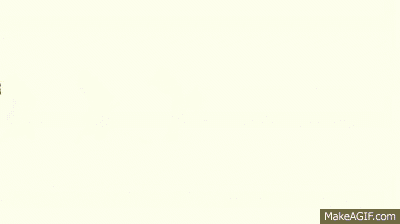 Cats GIF