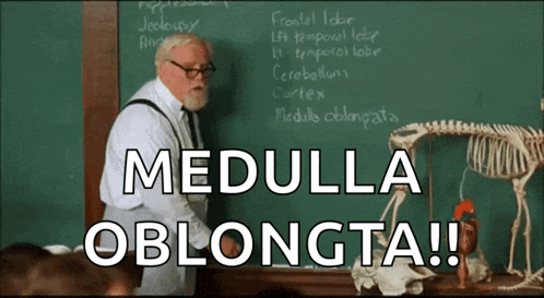 a man standing in front of a blackboard with medulla oblongata written on it