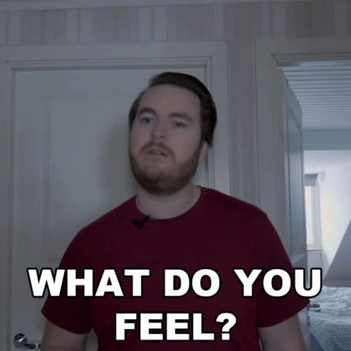 What Do You Feel Adam Friberg GIF - What Do You Feel Adam Friberg Friberg GIFs