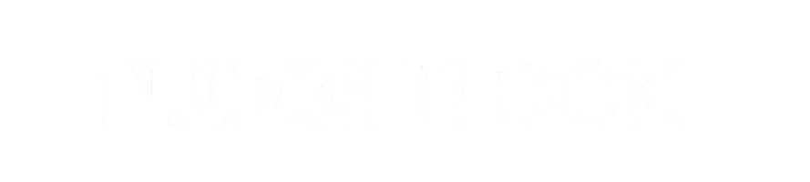 a red and white logo for nudgestock