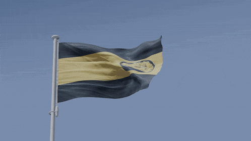 a black and yellow flag is flying in the blue sky