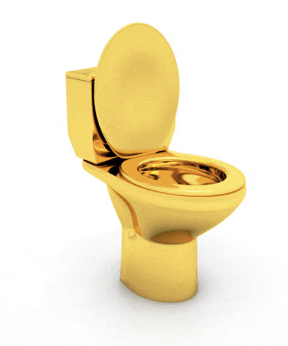 a gold toilet with the lid open on a white surface