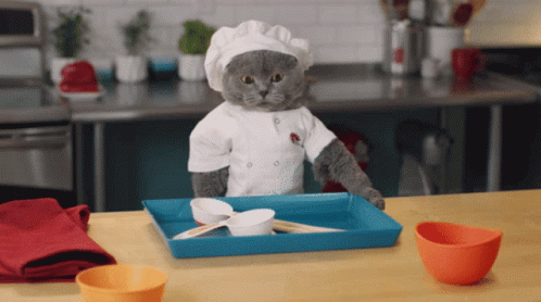 Catdetti Chef Cat GIF - Catdetti Chef Cat Catchef GIFs