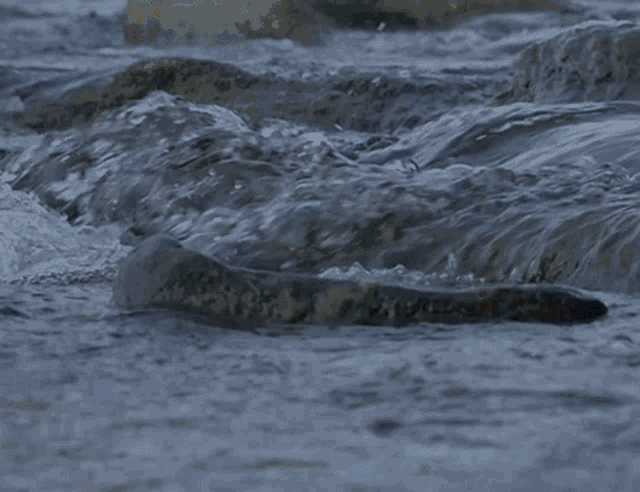 Flowing Into Wave GIF - Flowing Into Wave Water GIFs