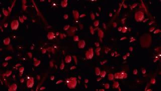 Love You Roses GIF - Love You Roses Falling GIFs