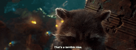 rocket raccoon says that 's a terrible idea in guardians of the galaxy