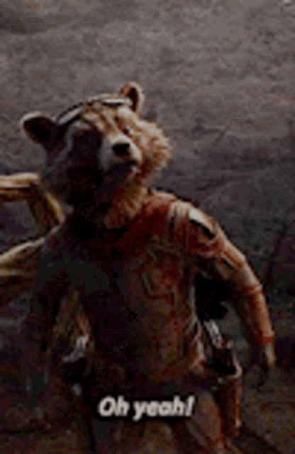 rocket raccoon from guardians of the galaxy is standing in front of a rock and saying `` oh yeah ! ''