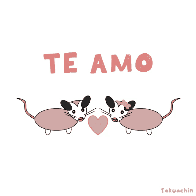 a drawing of two opossums with the words te amo written above them
