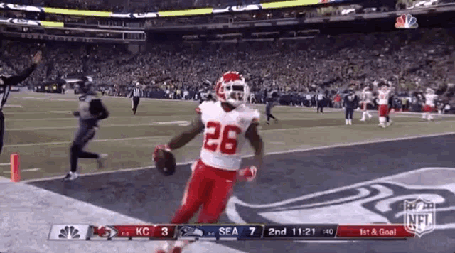 a football player with the number 28 on his jersey is running with the ball during a game .