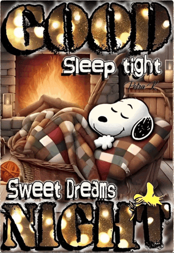 a picture of snoopy sleeping in a basket with the words " good sleep tight sweet dreams night "