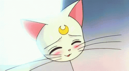 Sailormoon Cat GIF - Sailormoon Cat Cats GIFs