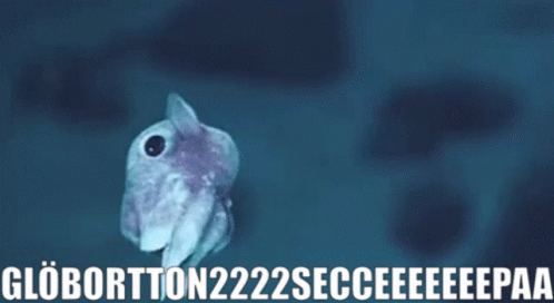 Dumbo Squid Cuttlefish GIF - Dumbo Squid Cuttlefish Trolling GIFs