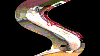 a picture of a cat with the word kill in red