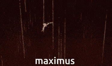 Maximus Gideon Graves GIF - Maximus Max Gideon Graves GIFs