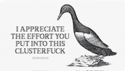 a black and white drawing of a bird with the words `` i appreciate the effort you put into this cluster fuck ''
