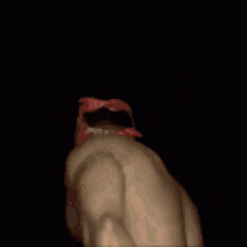No Care Not Interested GIF - No Care Not Interested No Worries GIFs
