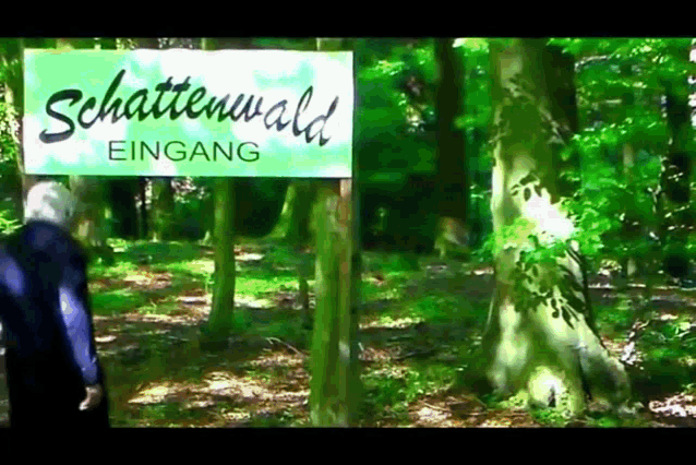 a sign that says schattenwald eingang is in the middle of a forest