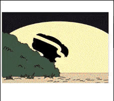 a cartoon drawing of a skunk in the grass