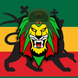 a lion wearing a hat that says lion of judah army on it