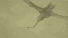a cartoon of batman flying through the air in front of a full moon in a cloudy sky .