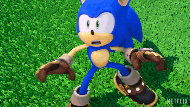 a cartoon character named sonic the hedgehog is walking on a skateboard in the grass .