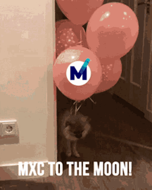 Mxc Moon GIF - Mxc Moon Crypto GIFs