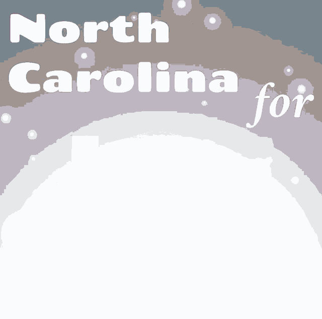 a poster that says " north carolina for 2020 "